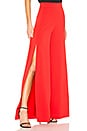 view 2 of 4 PANTALÓN FLORINDA in Perfect Poppy