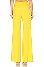 view 3 of 4 Dylan Wide Leg Pant in Sun