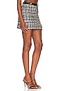 view 2 of 5 Elana Mini Skirt in Black & Off White