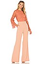 view 4 of 5 Pasha Top in Salmon