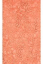 view 5 of 5 Pasha Top in Salmon
