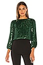 view 1 of 5 Avila Sequin Crop Top in Basil