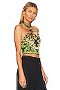 view 2 of 4 Sade Crop top in Rendezvous