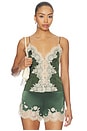 view 1 of 5 TOP DENTELLE JULIETTA  in Dark Fern