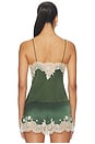 view 3 of 5 TOP DENTELLE JULIETTA  in Dark Fern