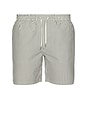 view 1 of 5 Warden Swimshorts in White & Blue