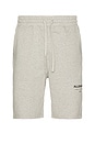 view 1 of 4 Underground Sweatshorts in Grey Marl