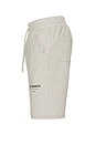 view 3 of 4 Underground Sweatshorts in Grey Marl