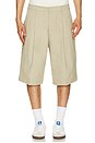 view 1 of 5 Castro Shorts in Pasilla Brown