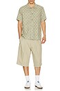view 3 of 5 Castro Shorts in Pasilla Brown