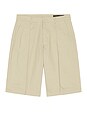 view 4 of 5 Castro Shorts in Pasilla Brown