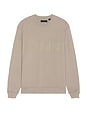 view 1 of 3 Biggy Crew Neck Sweatshirt in Chestnut Brown