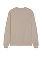 view 2 of 3 Biggy Crew Neck Sweatshirt in Chestnut Brown