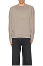 view 3 of 3 Biggy Crew Neck Sweatshirt in Chestnut Brown
