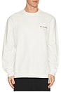 view 3 of 3 Underground Crew Neck Sweater in Ashen White & Snake