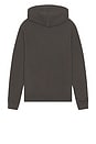 view 2 of 5 Raven Oth Hoodie in Carter Grey