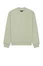 view 4 of 5 Asher Crew Neck Sweatshirt in Frost Green