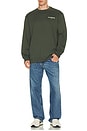 view 3 of 4 Halcyon Crew Sweatshirt in Garnet Green