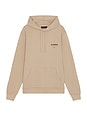 view 2 of 3 Underground Oth Hoodie in Toffee Taupe
