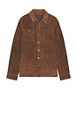 view 4 of 4 Sully Suede Shirt Jacket in Baker Brown