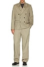 view 5 of 5 PANTALON NEWTON in Stone Grey