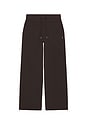view 1 of 2 PANTALON SWEAT ASHER in Plum Brown