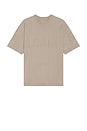 view 1 of 3 Biggy Crew Neck Tee in Chestnut Brown