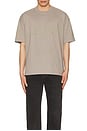 view 3 of 3 Biggy Crew Neck Tee in Chestnut Brown
