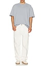 view 5 of 5 Haven Crew Neck Tee in Willow Blue