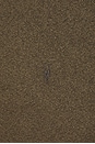 view 3 of 5 Statten Long Sleeve Polo in Dusky Green