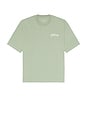 view 4 of 4 Odyssey Crew Tee in Spring Green