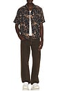 view 3 of 4 CAMISA FORTUNE in Bank Brown