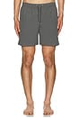 view 5 of 6 Warden Swimshorts in Pitched Blue