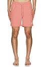 view 5 of 6 Underground Swimshorts in Amara Pink
