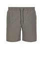 view 1 of 5 Haven Swim Shorts in Pillar Grey