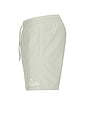 view 3 of 6 Soleil Swim Shorts in Slate Green