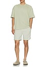 view 6 of 6 Soleil Swim Shorts in Slate Green