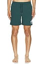view 4 of 5 Orlando Swim Shorts in Cove Blue
