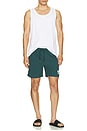 view 5 of 5 Orlando Swim Shorts in Cove Blue