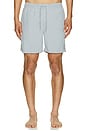 view 4 of 5 Haven Swim Shorts in Willow Blue