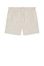 view 5 of 4 SHORT DE BAIN SANTA CRUZ in Phantom White