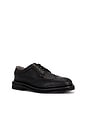 view 2 of 5 Escher Brogue Shoe in Black