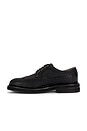 view 5 of 5 Escher Brogue Shoe in Black