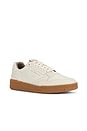 view 2 of 6 Regan Low Top in Chalk White & Gum