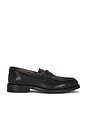 view 1 of 5 Bloom Pony Loafer in Black