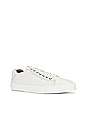 view 2 of 6 Brody Low Top Sneaker in White