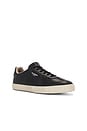 view 2 of 6 Jaimee Lthr Low Top in Black & White