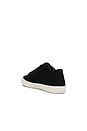 view 3 of 7 Biggy Can Low Top Sneaker in Black