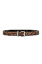 view 1 of 3 Leopard Belt in Leopard