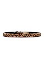 view 2 of 3 Leopard Belt in Leopard
